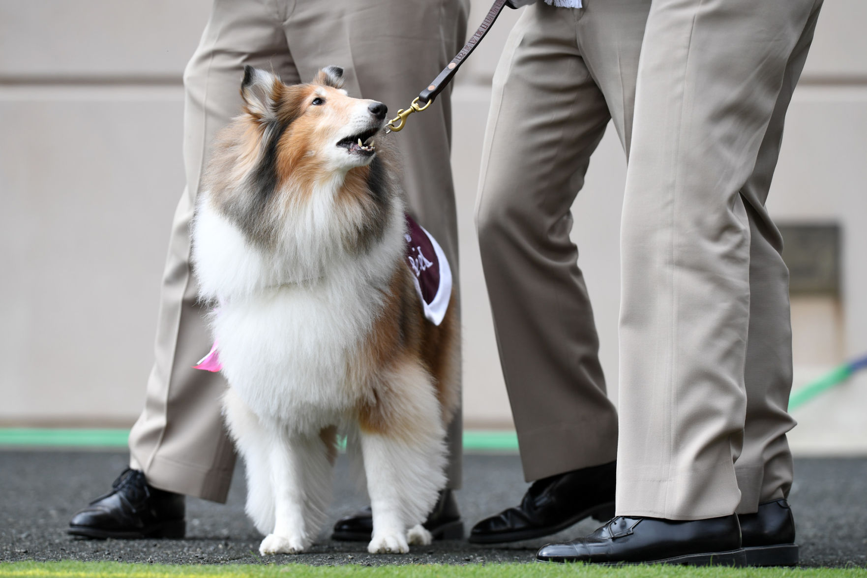 Texas A&M vs. Mississippi State
